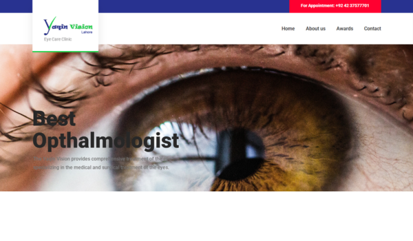 Yaqin Vision website preview